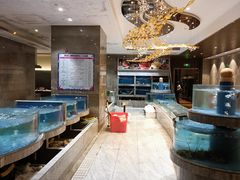-广西锦华大酒店(南宁朝阳广场地铁站区政府店)