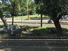 -秦皇岛野生动物园