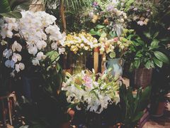 -春暖花开(西溪店)