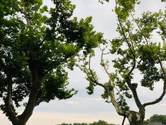 -杭州西湖风景名胜区-北街寻梦
