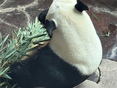 -济南野生动物世界
