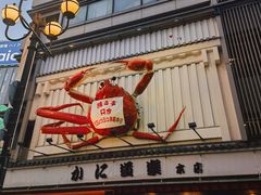 -蟹道乐(道顿堀本店)