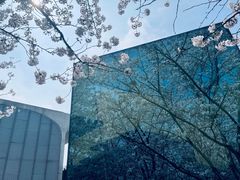 -龙美术馆(西岸馆)
