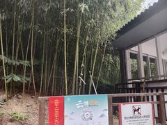 -崂山巨峰游览区