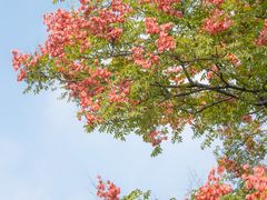 -白塘生态植物园