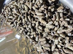 -登州市场(登州路店)