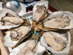 湛江大生蚝-淘米捞·米汤脆鲩鱼火锅(福田皇岗店)