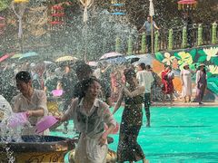 -西双版纳原始森林公园