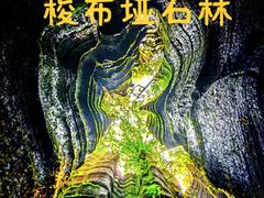 -梭布垭石林景区