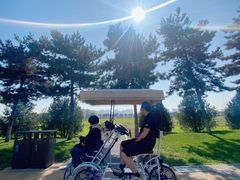 -汉长安城未央宫国家考古遗址公园