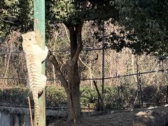 -常州淹城野生动物世界