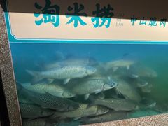-淘米捞·米汤脆鲩鱼火锅(福田皇岗店)