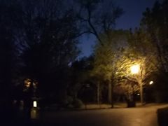 -迎泽公园