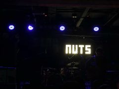 -坚果NUTS