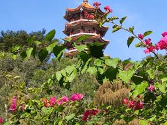 -深圳仙湖植物园