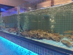 水产区-小天鹅戴斯酒店鲸鲨百汇创作料理