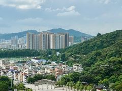 -阳台山森林公园