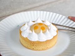 -猫里有甜