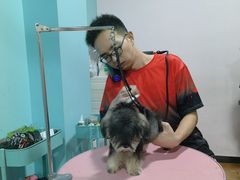 -宠匠·爱宠堡 PET CASTLE