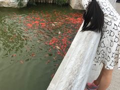 -西海子公园