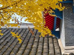 -四川大学(华西校区)