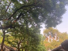 -北京国子监胡同