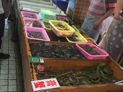 -大湾区中央湿地公园-十九涌