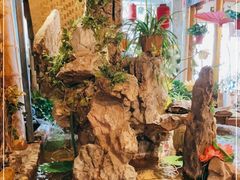-多哥水傣味餐厅(司马巷店)
