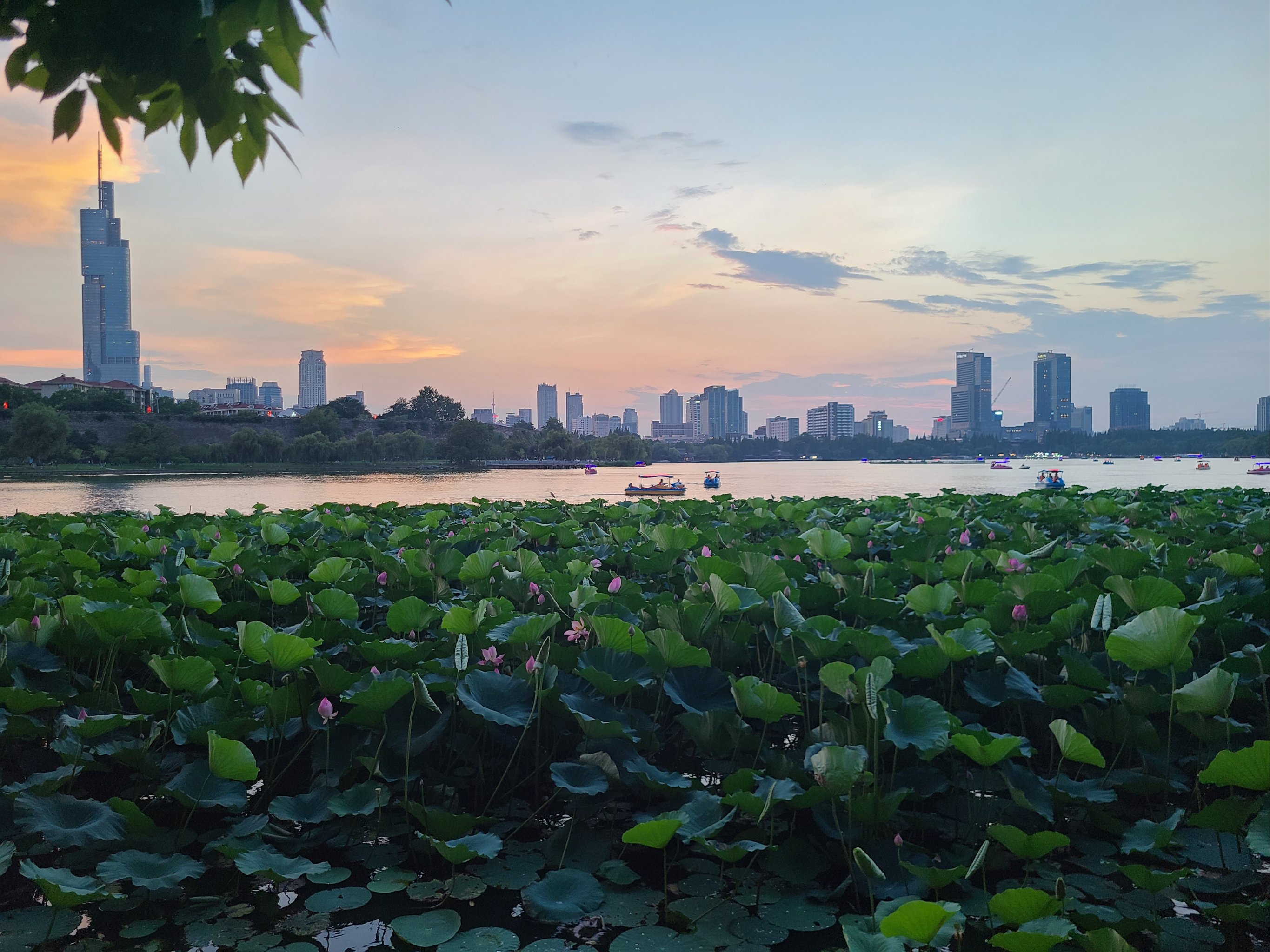 盛夏晚晴天图片大全图片