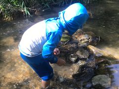 -碓臼峪自然风景区