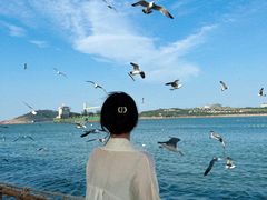 -海驴岛(荣成市)