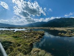 -腾冲北海湿地