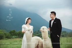 -花漾摄影优选工作室(东莞原创作品店)