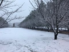 -同济大学(嘉定校区)