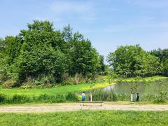 -桤木河湿地公园