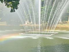 -东莞植物园