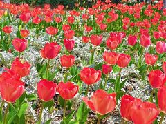 -杭州师范大学(下沙校区)