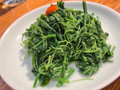 木姜子拌丝瓜尖-一坐一忘云南菜(三里屯店)