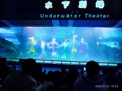 -泉城欧乐堡海洋极地世界