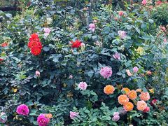 -人民公园(罗湖区)