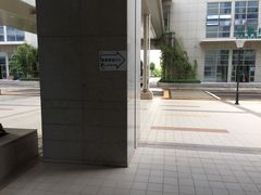 -南方医科大学深圳医院