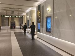 -英皇电影城(平安金融中心IMAX激光店)