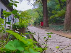 -上海佘山国家森林公园天马山园