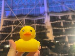 -环球中心海洋乐园