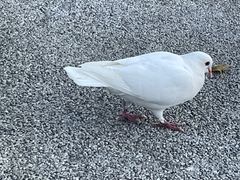 -西昌邛海宾馆