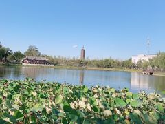 -西海子公园
