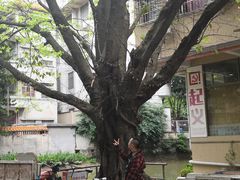 -小洲村