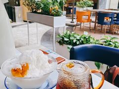 椰汁芒果冰沙-鹿港小镇(金虹桥国际中心店)