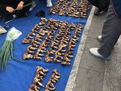 -帽儿山国家森林公园