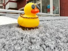 -人民防洪胜利纪念塔